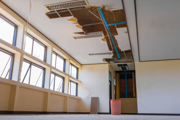 Best Carpet water damage restoration  in Lovelock, NV