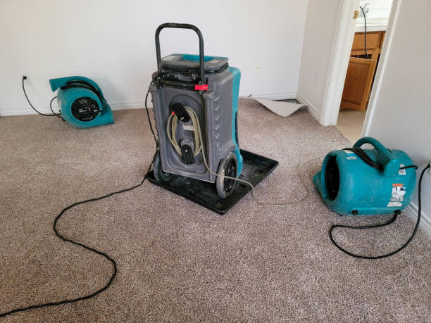 Best Sewage cleanup and water damage restoration  in Lovelock, NV