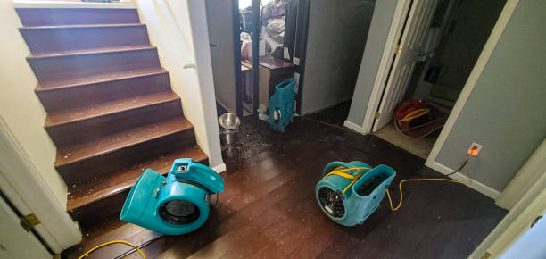 Best Residential water damage restoration  in Lovelock, NV