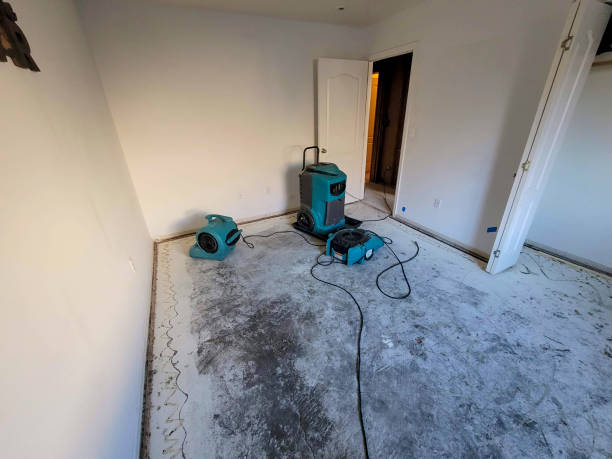 Best Mold removal after water damage  in Lovelock, NV