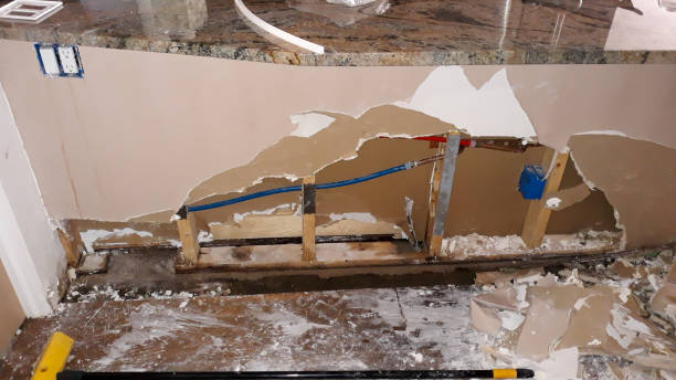 Water damage restoration mold remediation in Lovelock, NV