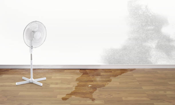 Best Sewage cleanup and water damage restoration  in Lovelock, NV
