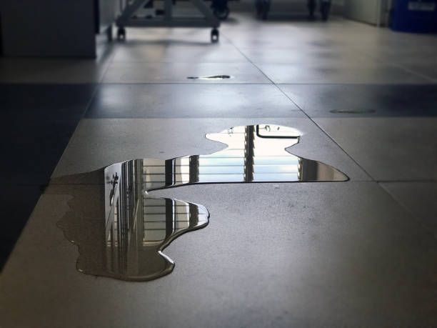 Best Professional water damage repair  in Lovelock, NV