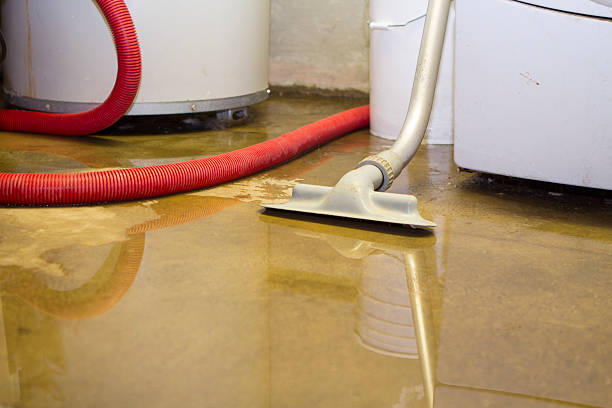 24/7 water damage repair in Lovelock, NV