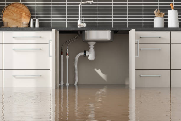 Best Water damage restoration mold remediation  in Lovelock, NV