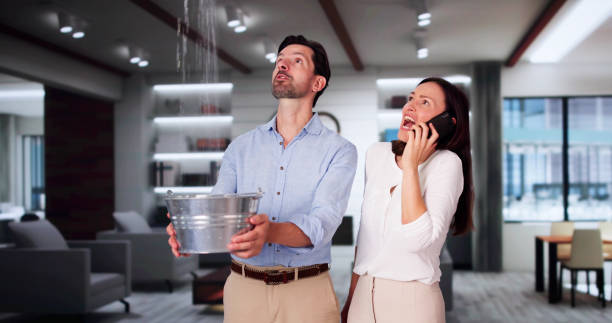 Best Fire Damage Restoration  in Lovelock, NV