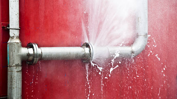 Best Mold removal after water damage  in Lovelock, NV