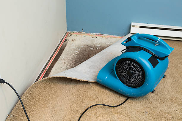 Best Flooded house restoration  in Lovelock, NV
